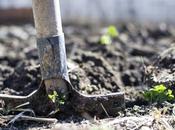 Garden Soil Take Care