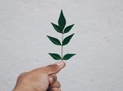 Lead Nurturing: Best Practices Drive Conversions Grow Your Business