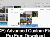 [ACF] Advanced Custom Fields Free Download