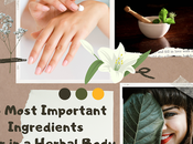 Most Important Ingredients Look Herbal Body Lotion Winter