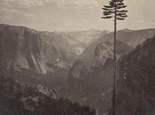 Early Photography: Yosemite Valley, California Carleton Watkins