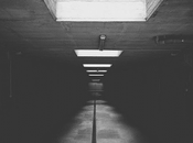 Effectively Eradicate Mould from Your Basement?