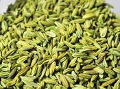 Saunf Medicinal Benefits