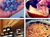 Blueberry Recipe Roundup
