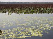 Become Better Photographer Less Than Minutes