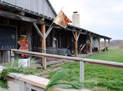 Indiana Apple Orchard: Beasley’s Orchard Danville,