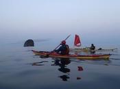 Ikkatsu Project: Exploring Impact Japanese Tsunami