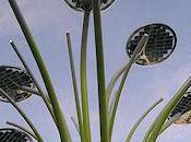 Beautifully Designed Solar Trees