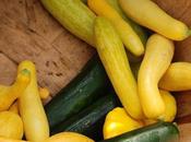 Wilder Pictures Recipes: Farmer's Market Series, Volume (and) Roast Summer Squash
