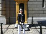 Fashion Conscious Bees Swarm Swedish Store, Could They Have Picked Worse Store?