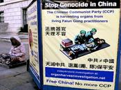 Falun Gong: Peace Pandemonium?