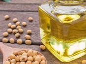 Smoke Point Bean Everything Need Know