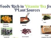 Little Known Vitamin Rich Foods from Plant Sources