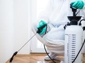 Effective Pest Control Services Residential Spaces