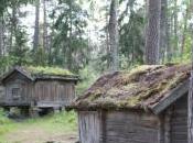 Three Tanka Impermanence