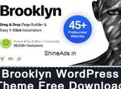 [GPL] Brooklyn WordPress Theme v4.9.6.2 Free Download