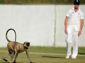 Lanka Loses Test Galle What Caused Interruption