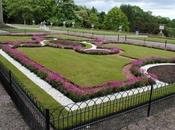 Artificial Grass Home Decorating? Amir Articles