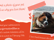 February Featured Pets: Furry Valentine *Your Featured!*