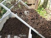 Need Know About Compost
