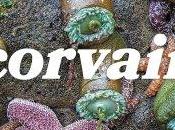 Corvair ‘Corvair’ Album Review