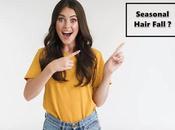 Tips Reduce Seasonal Hair Fall