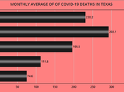 Number COVID-19 Cases Deaths February Texas