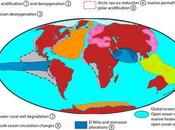 Graphic Coming Collapse Marine Ecosystems.