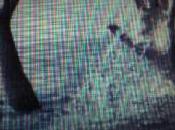 Romney Overseas, Over Head?