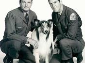 Most Beloved Dogs Literature