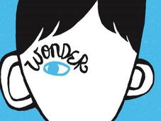 Book Review: Wonder