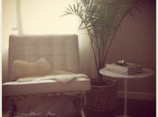 HOUSE PLANTS Cheap Trick