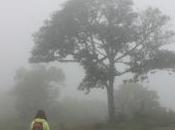 POEM: Invisible World