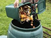 Benefits Having Compost