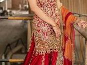 Maroon Blouse High Rise Lehenga Appliqued Dupatta