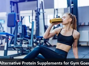 Best Alternative Protein Supplements Goers