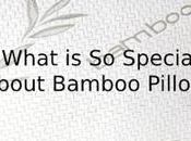 What Special About Bamboo Pillows?
