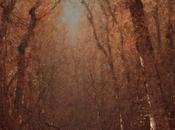 Inspirational Art: Autumn, Wood Path Sanford Robinson Gifford