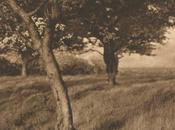 Early Photography: Camera Work: Beyond Alfred Horsley Hinton