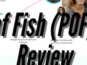 Plenty Fish (POF) Dating Review