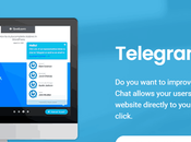 Telegram Chat Plugin Review: Button WordPress?