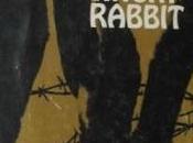 Rabbit Years