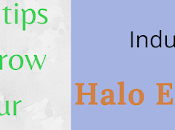 Induce Halo Effect