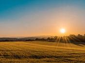 Continues Shine Farmland Outlook