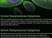 Toxoplasmosis: Symptoms, Causes Remedies