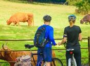 Plan Green Glasgow Getaway