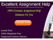 Have 1000+ Assignment Helpers Throughout United States