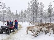 Experiences Working Tour Guide Lapland