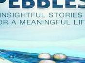 Zohar Ginosar Pebbles: Insightful Stories Meaningful Life #BookReview #BookChatter #Books