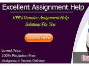 Data Structure Assignment Help Meet High Expectations Your Professors